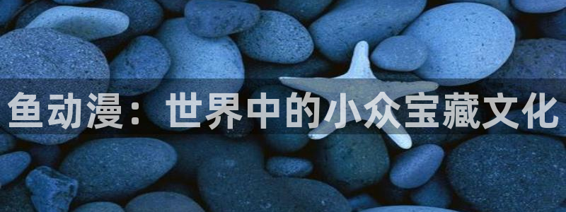 58动漫网入口：鱼动漫：世界中的小众宝藏文化